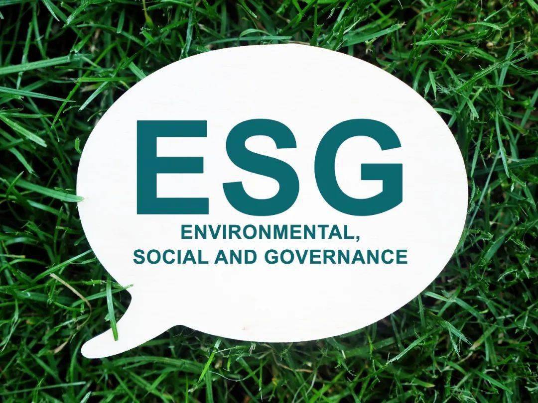 ESG（環(huán)境、社會(huì)、治理）